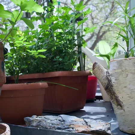 Mayahouse Apartament *