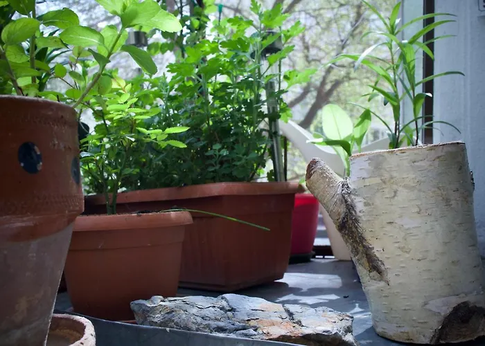 Mayahouse Apartament *