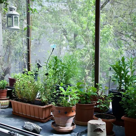Apartament Mayahouse